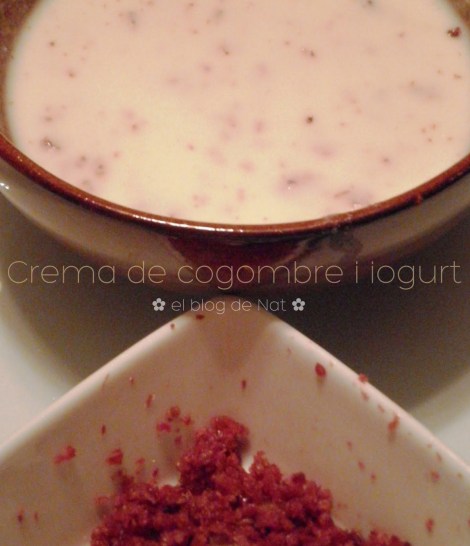 ThermoNat - el blog de nat - Crema de cogombre i iogurt