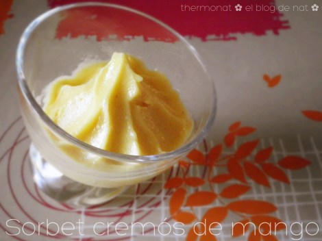 ThermoNat - el blog de nat - Sorbet cremos de mango