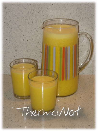 ThermoNat - Suc de taronja integral 3