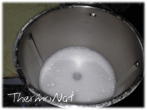 ThermoNat - Com treure masses 7 thermomix