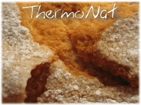 thermonat-bizcocho-gallego-ii