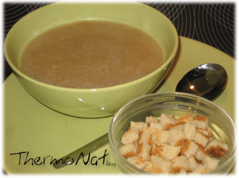 ThermoNat - Sopa de ceba