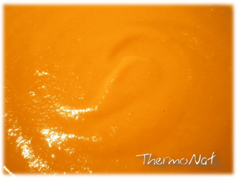 ThermoNatCat-Thermomix-Natalia-Castello-Crema-de-carbassa-2