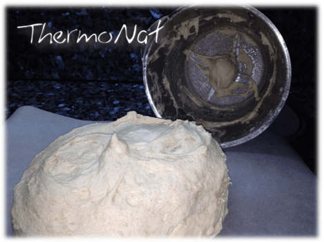 ThermoNat - Com treure masses 5 thermomix