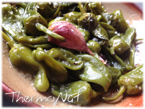 ThermoNat - Pebrots Padron - Pimientos 1