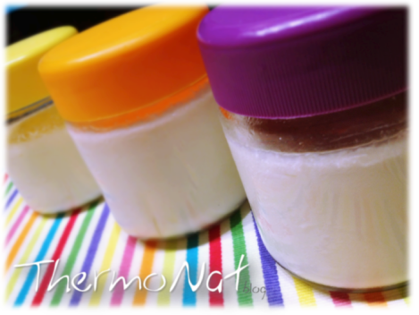 ThermoNat - Iogurts en Iogurtera