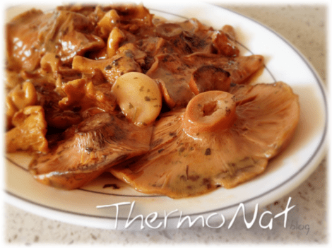 ThermoNat - Rovellons i Rossinyols II