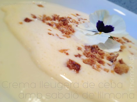 ThermoNat - Crema lleugera de ceba Thermomix