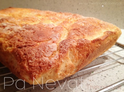 ThermoNat - Pa Nevat Thermomix 2