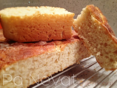 ThermoNat - Pa Nevat Thermomix